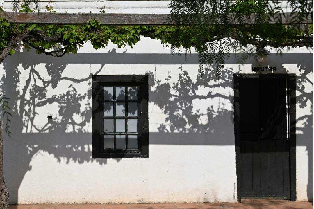 Projekt 2